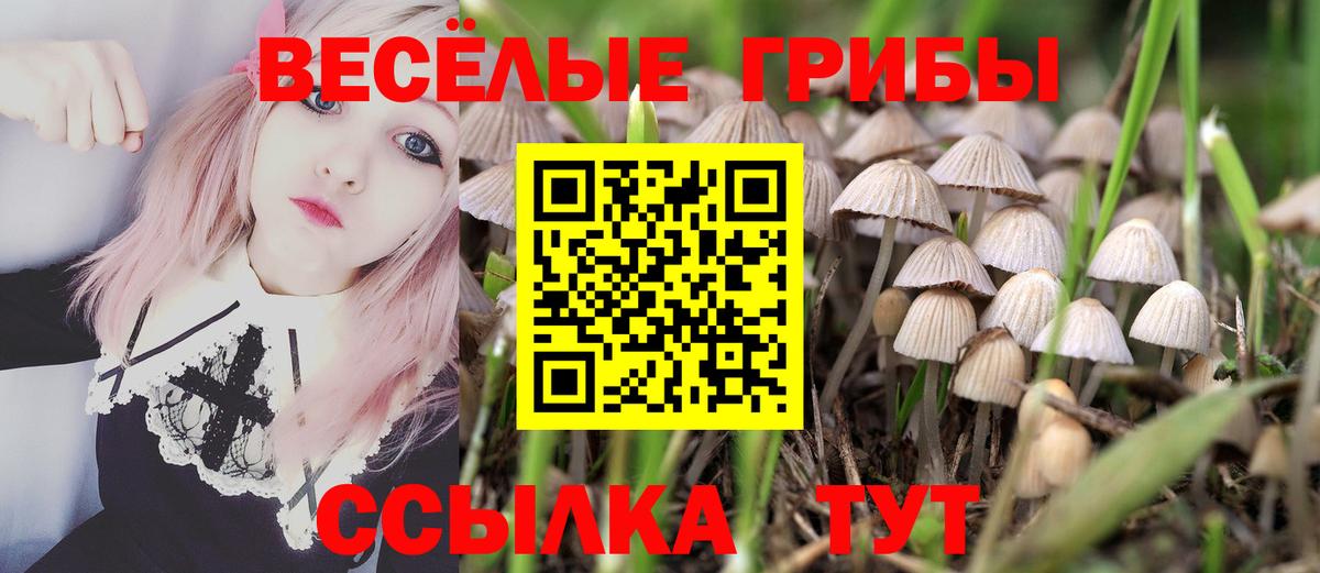 Галлюциногенные грибы MAGIC MUSHROOMS  купить закладку  Бахчисарай  Галлюциногенные грибы Cubensis  Вход с VPN 